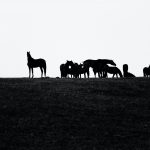 Sports Psychology: Self-talk and negativity