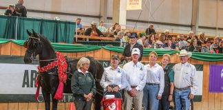 Carriage Driving Horse Crowned with Vita Flex Victory Pass  Award at 2016 Arabian Sport Horse National Championships