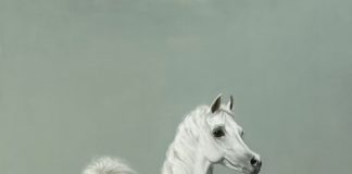Celebrating the Arabian Horse: Solo show of new equestrian paintings by James Gillick