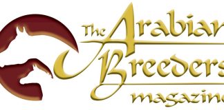 The Arabian Magazine is changing