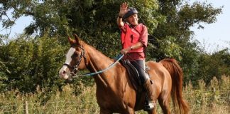 Crabbets sweep the board at EGB Awards