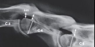 Defining your horse’s best performance