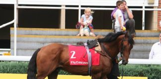 Dubai International Raceday 24th July – HH Sheikh Hamdan’s Homebreds Rule