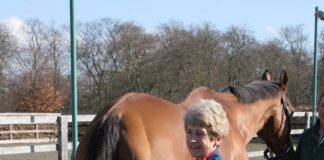 Equitopia Launches First in New Series: ‘Recognizing Subtle Lameness’