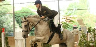 European Championships Sports Arabians: Back to Austria