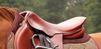 From the Therapist: Just the Sensitive Type…