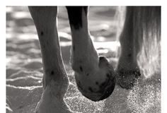 From the Therapist: Reading the Signals…