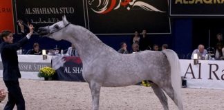 German Nationals Championships 2016