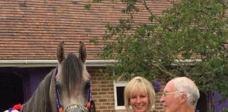 Hero, The Ugly Duckling