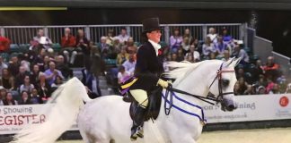 Horse of the Year Show 2017