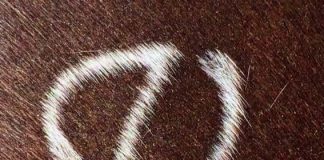 In Memory of Sheila Varian