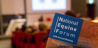Keep pulling together and make Brexit an opportunity says equine industry