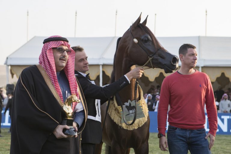 King Abdulaziz Arabian Horse Centre International Championship King Abdulaziz Arabian Horse Centre International Championship