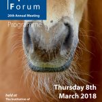 Live Streaming for National Equine Forum