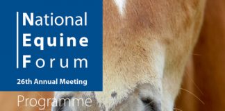 Live Streaming for National Equine Forum