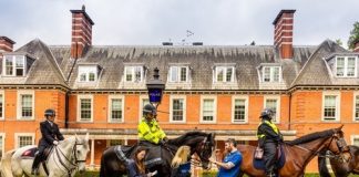 London’s Hyde Park Police Horses Line Up for National Equine Health Survey