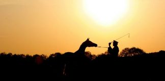 March 2016 Editorial