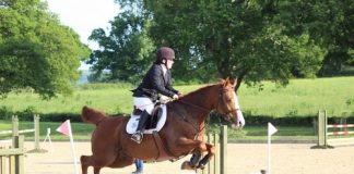 New Arrivals, Super Substitutes, and Jumping at Hickstead
