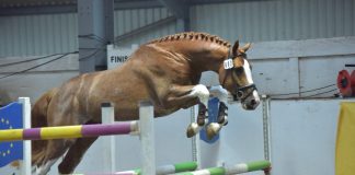 New Future for Futurity