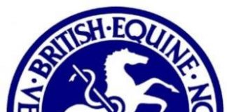 New research collection shows how cutting-edge imaging is improving equine head and spine diagnoses