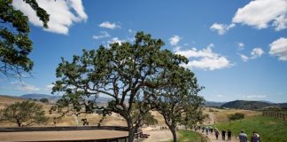 Open House 2016 Aljassimya Farm