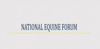 Outstanding programme announced for 25th National Equine Forum