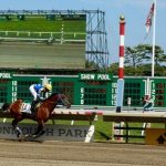 Paddys Day Sweeps 2017 Triple Jewel; Becomes Richest USA Arabian Racehorse in History