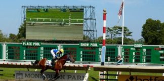 Paddys Day Sweeps 2017 Triple Jewel; Becomes Richest USA Arabian Racehorse in History
