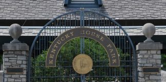 Part I – The 36th Annual US Egyptian Event