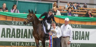 ‘Premier Equestrian’ Beth Noteman Recognized at 2016 Sport Horse National Arabian Championships