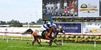 Racing News from Down Under