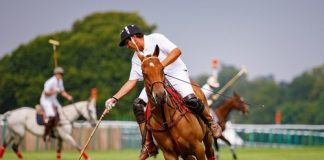 Retrained racehorse day held at chantilly deemed a success