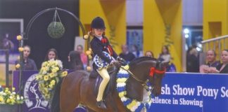 Rotherwood Rainmaker