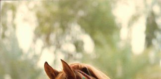 Say his name and he shall appear…