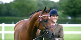 The 2017 British National Championships: Anglos & Part-breds