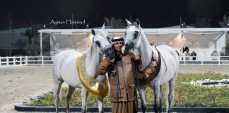 The 2017 Kuwait International Arabian Horse Festival: All Nations Cup – Straight Egyptians by Lisa Abraham