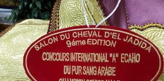 The 9th International Arabian Horse A Show – Salon du Cheval d’El Jadida