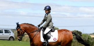 The Adventures of Minty and Danny; let nothing stand in the way!