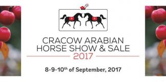 The Cracow Show and Arabian Horse Auction