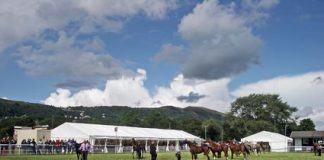 The Finke Report:Comparative Judgement, or: To change or not to change