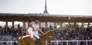 The first retrained racehorse day of 2017 took place