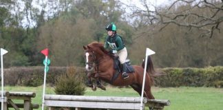 The Girl Who Jumps Arabs: New Saddle, New Horse, New Sport