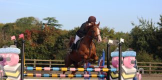 The Girl with the Jumping Arabs: She’s the One – Just don’t tell her Dad!