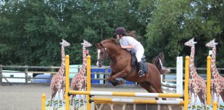 The Girl with the Jumping Arabs: When Luck Runs Out