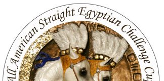The new All American Straight Egyptian Challenge Cup kicks off at the Scottsdale Arabian Horse Show