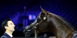 The Paris Champions 2016