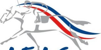 The Purebred 2016 Arabian sale catalogue is online