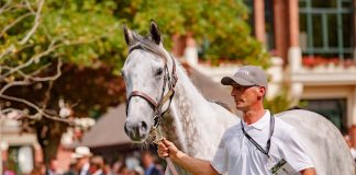 The Retrained Racehorse Day: Racing professionals and horse lovers gather to celebrate the thoroughbred