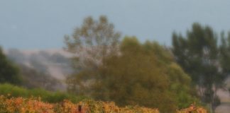 The Role of a Writer – Capturing Broken Thoughts