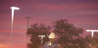 The Scottsdale Arabian Horse Show is Celebrating 62 Years!